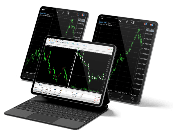 MT5 Web Terminal